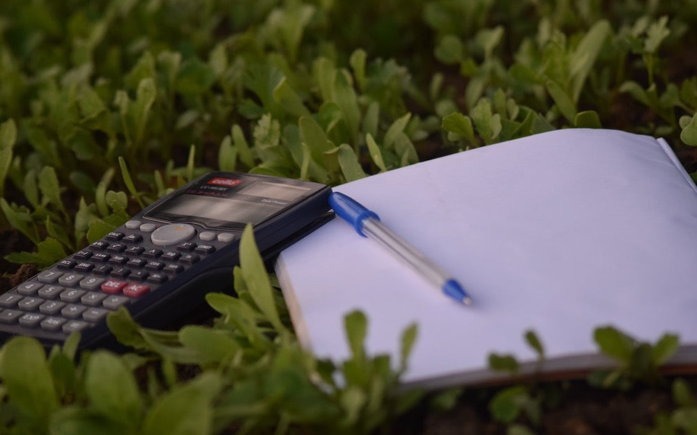 Calculator and notebook to help budget for a chameleon