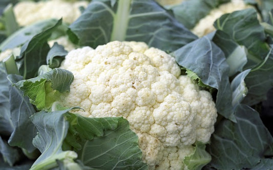 A head of cauliflower