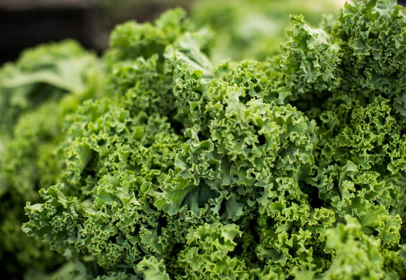 The Problems with Eating Kale