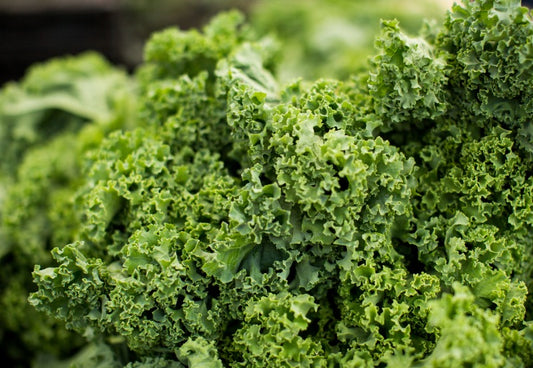 Fresh kale