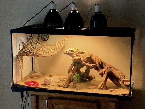 Do I use the red light for my bearded dragon at night? I recently bought a bearded  dragon, the terrarium kit I bought came with a white UVB bulb and a red