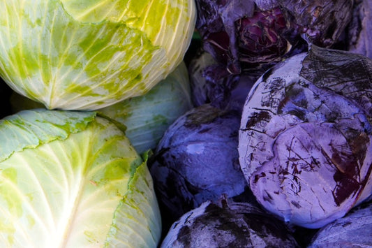 Green and purple cabbages