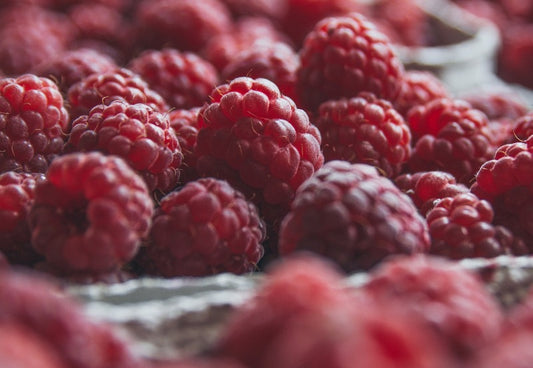 Fresh raspberries in cartons