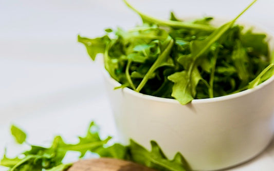 Bowl of arugula for bearded dragons