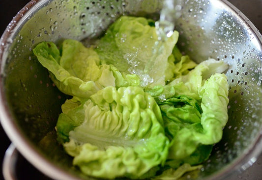 Butter lettuce leaves being rinsed in metal colander