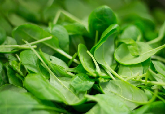 Fresh spinach leaves