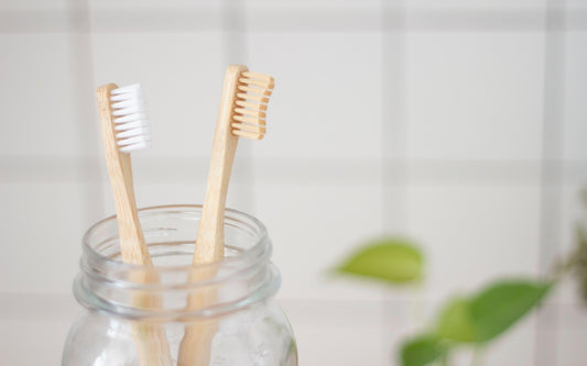 Two toothbrushes - how to clean bearded dragon teeth