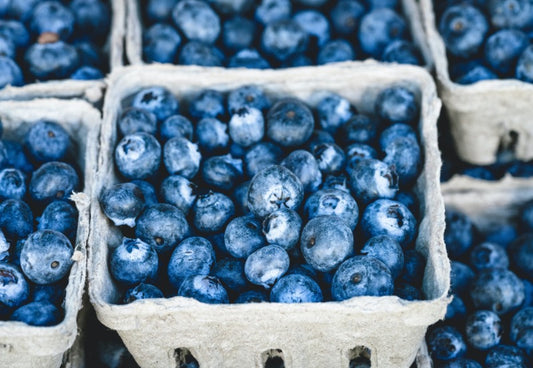 Fresh blueberries in cartons