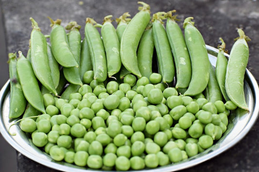 Bowl of peas