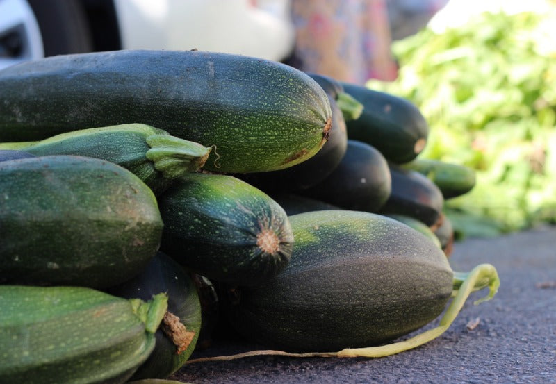 Stacked zucchinis on asphalt