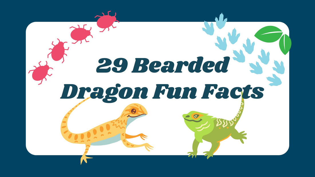 Animated image of a yellow bearded dragon and a green bearded dragon
