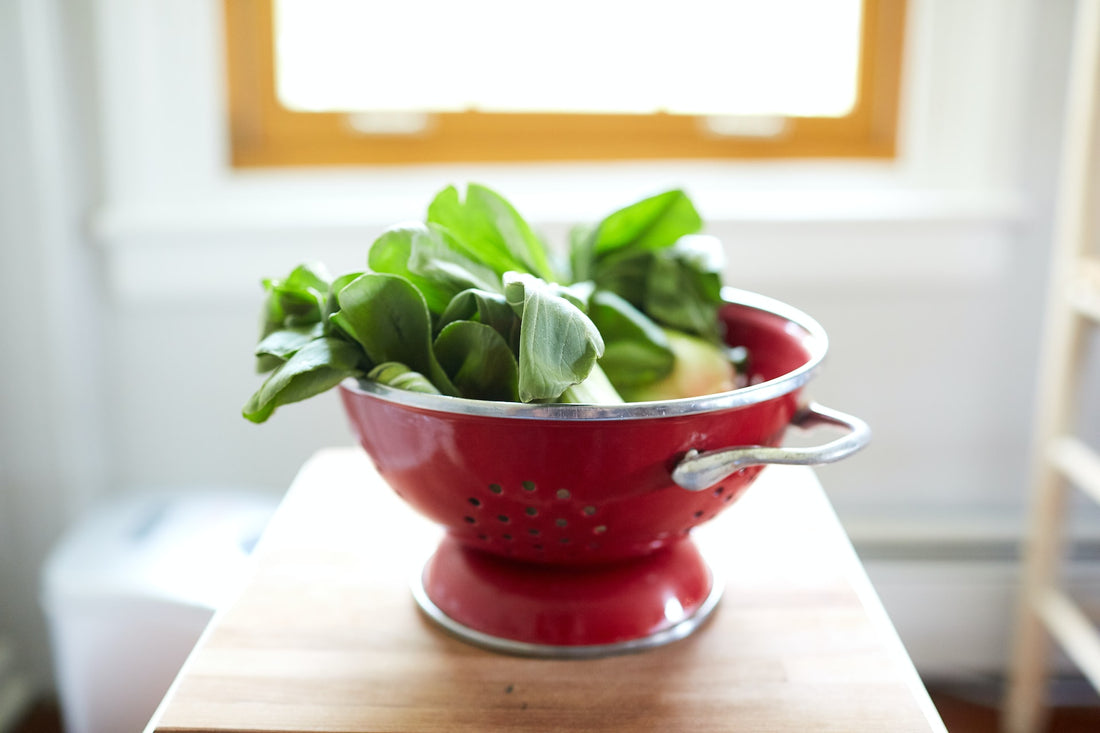 Bowl of bok choy