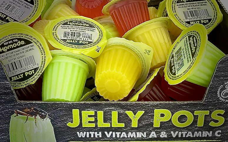 Jelly Pots for Reptiles and Feeder Insects