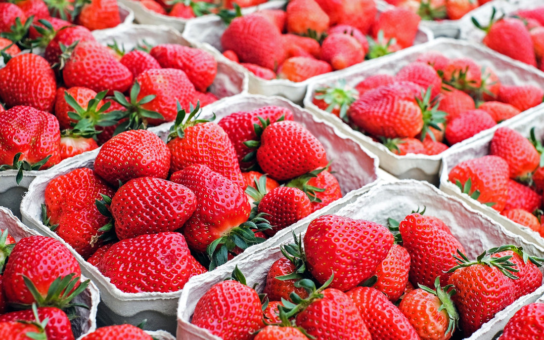 Cartons of fresh strawberries