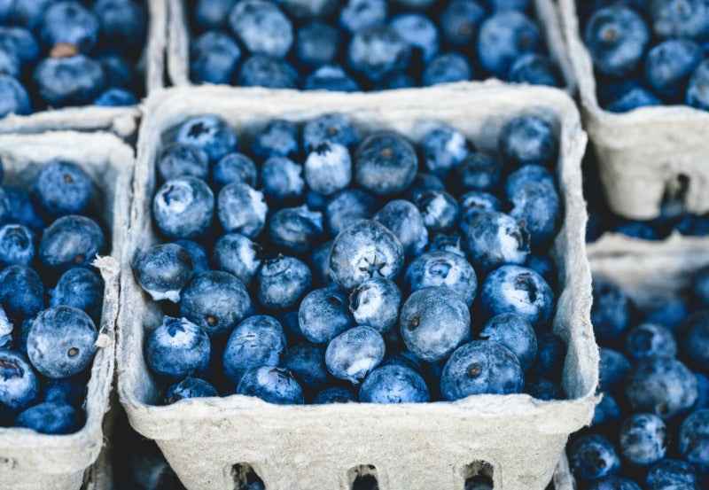 Fresh blueberries in cartons 