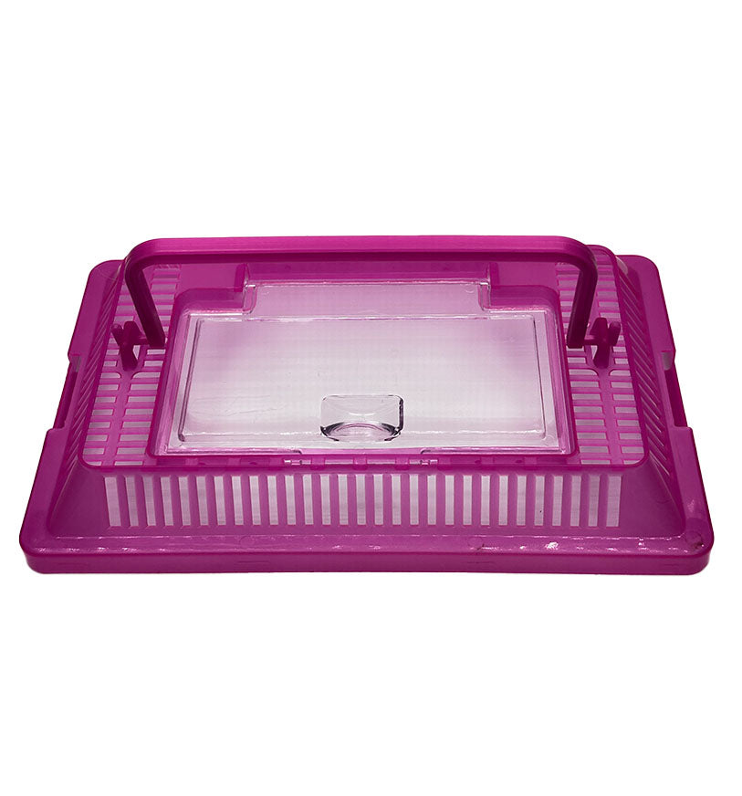 Critter Keeper Container for Live Insects and Reptile Food Storage