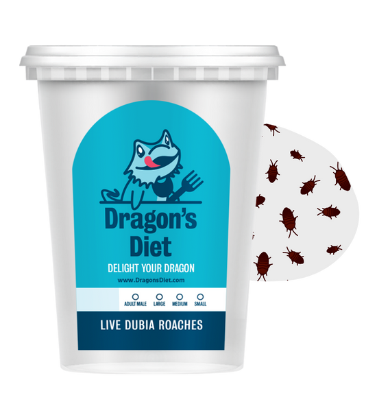 Best Greens for Bearded Dragons Daily and Weekly Staples Dragon's Diet